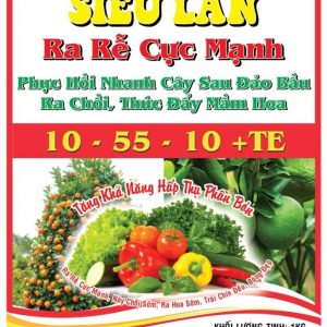 SIÊU LÂN RA RỄ CỰC MẠNH
