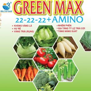 GREEN MAX AMINO
