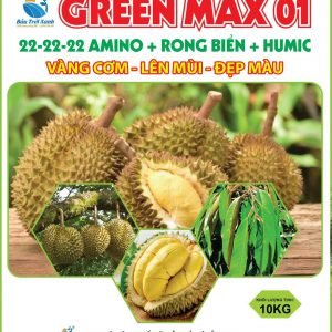 GREEN MAX 01