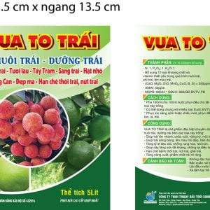 VUA TO TRÁI - CHUYÊN NUÔI TRÁI - DƯỠNG TRÁI