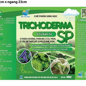 CHẾ PHẨM SINH HỌC TRICHODERMA - NGĂN NGỪA NẤM, VI KHUẨN - NGĂN NGỪA HÉO, ÚA, VÀNG LÁ, THỐI RỄ