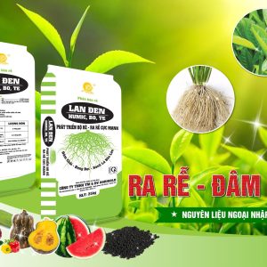 PHÂN BÓN TRUNG LƯỢNG GIÚP PHÁT TRIỂN BỘ RỄ, RA RỄ CỰC MẠNH, ĐÂM CHỒI, BUNG ĐỌT